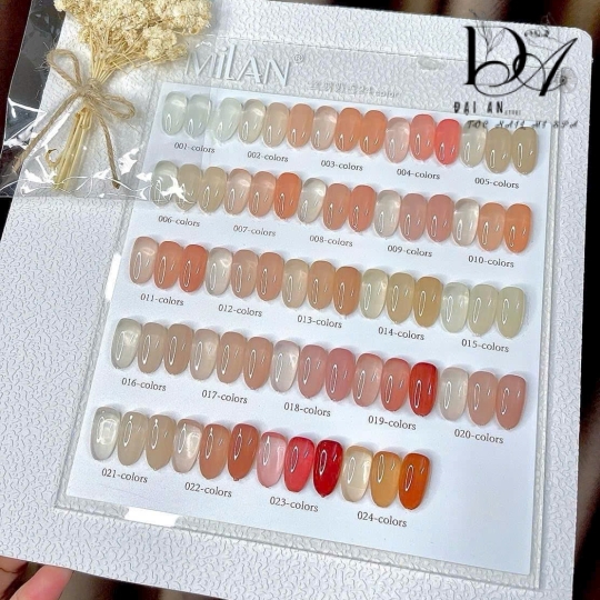 Sét thạch đục 12 màu Millan tặng kèm bảng màu