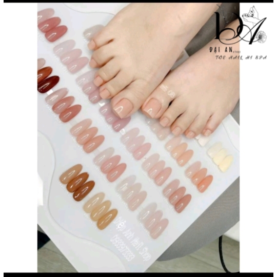 Sét sơn thạch đục 24 chai U.OMEEI 