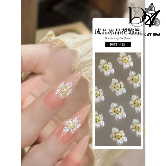 Sét Hoa ngọc trai 10 cái trang trí móng.