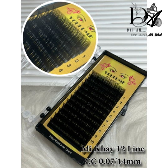 mi khay 12 line 