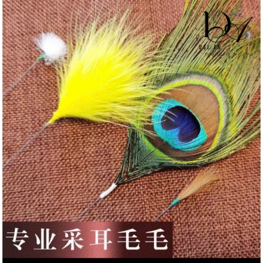 Bộ lông công full